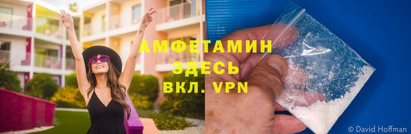 PSILOCYBIN Лихославль