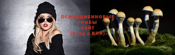 бошки Покровск