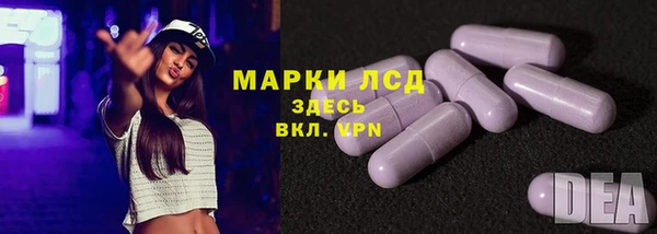 PSILOCYBIN Лихославль