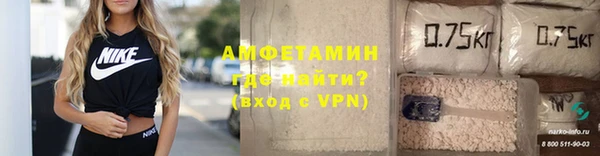 крисы Магас