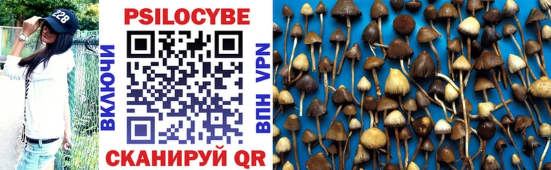 Галлюциногенные грибы Magic Shrooms  Шимановск 